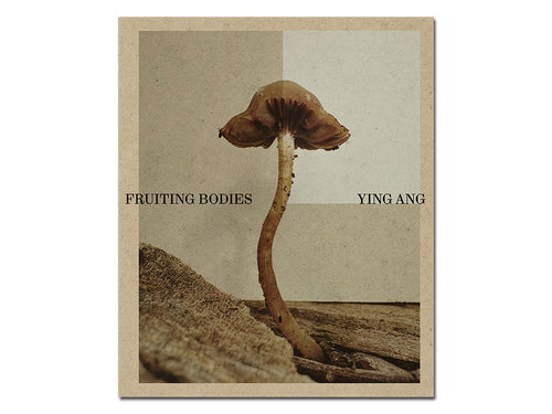 Ying Ang – Fruiting Bodies