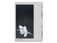 Load image into Gallery viewer, [FORTHCOMING] Zoë Croggon – Cold Windows