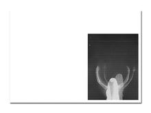 Load image into Gallery viewer, [FORTHCOMING] Zoë Croggon – Cold Windows