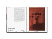 Load image into Gallery viewer, [FORTHCOMING] Aperture No. 258: Photography &amp; Painting