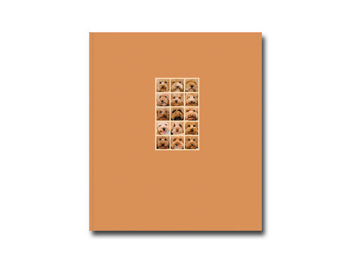 Laura Leal – Apricot Poodle