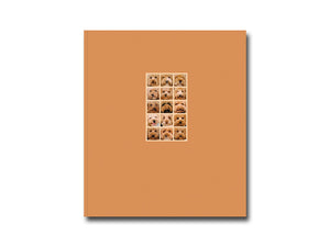 Laura Leal – Apricot Poodle