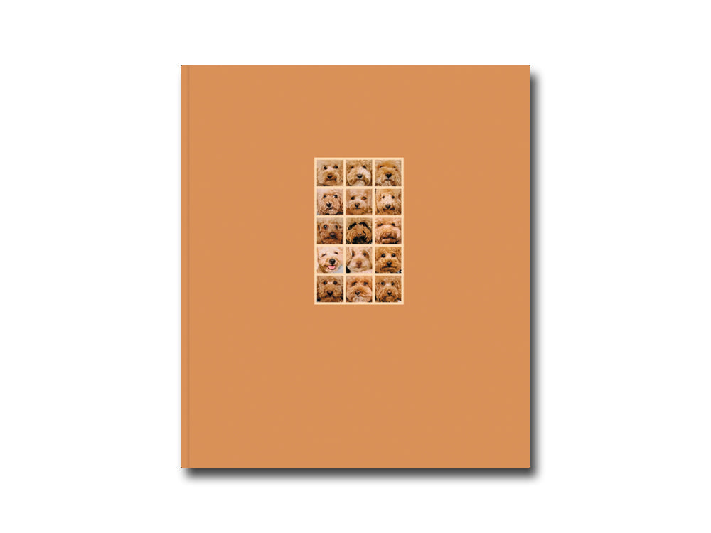 Laura Leal – Apricot Poodle
