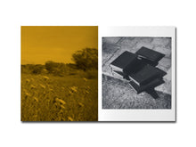 Load image into Gallery viewer, [FORTHCOMING] Francisco Cantón – Axolotl