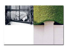 Load image into Gallery viewer, [FORTHCOMING] Melanie Cobham – Bodybuilding