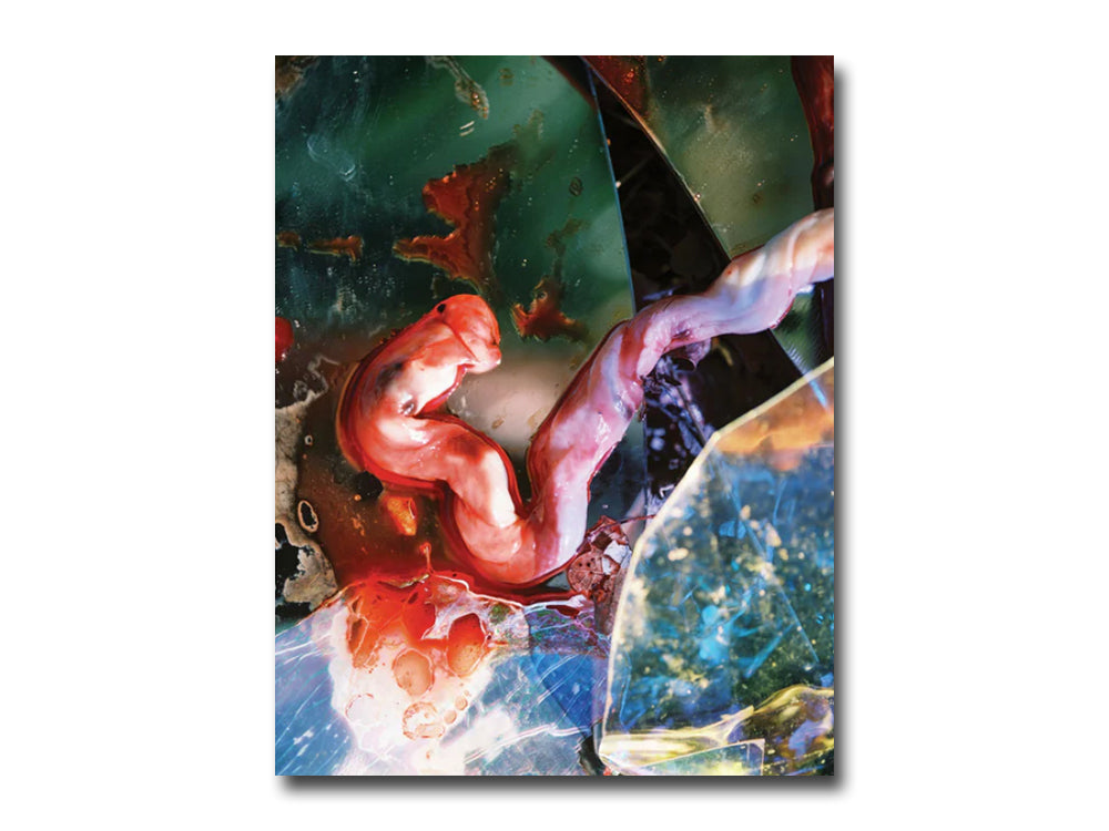 Lucile Boiron – Bouche
