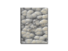 Load image into Gallery viewer, [FORTHCOMING] Camaraderie of Infidelities