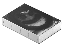 Load image into Gallery viewer, Nico Krijno – Collages 2020-2022
