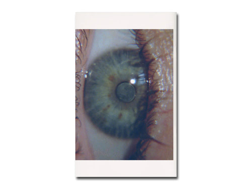 Goldwin 0 – Collective Study, Enquiry #5