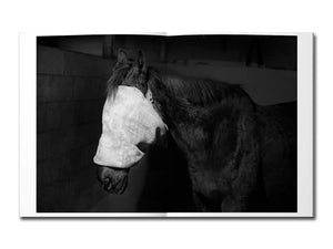 [FORTHCOMING] Tom Callemin – Double Reality
