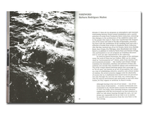 Load image into Gallery viewer, [FORTHCOMING] Enredos II: Nuno da Luz