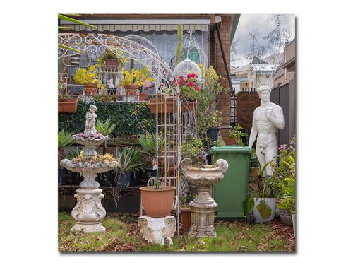 David Wadelton – Front Yard