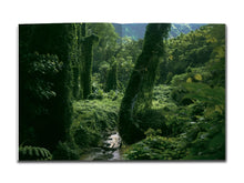 Load image into Gallery viewer, [FORTHCOMING] Micaela McLucas – Fugazi