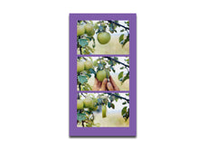 Load image into Gallery viewer, Helmut Schweizer – Handlungen / Actions