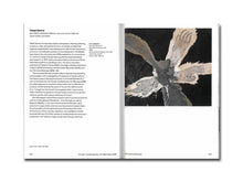 Load image into Gallery viewer, [FORTHCOMING] In Interludes and Transitions