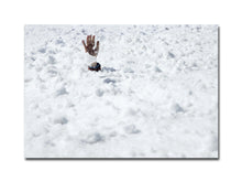 Load image into Gallery viewer, [FORTHCOMING] In: the Society of the Snow