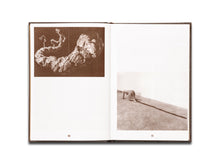 Load image into Gallery viewer, Aline Bouvy – La Merde