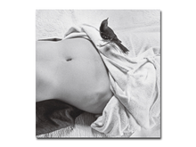 Load image into Gallery viewer, [FORTHCOMING] Christine Godden – Light Touch