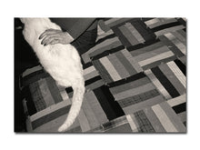 Load image into Gallery viewer, [FORTHCOMING] Christine Godden – Light Touch