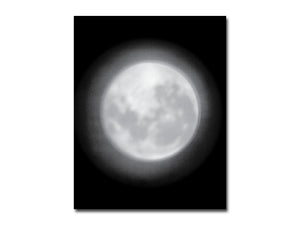 Lele Saveri – Luna 10 Years