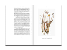 Load image into Gallery viewer, [FORTHCOMING] Marta Palau: My Paths are Earthly