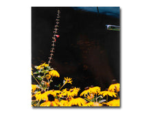 Load image into Gallery viewer, Vasantha Yogananthan – Mystery Street
