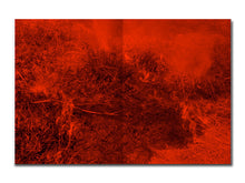 Load image into Gallery viewer, [FORTHCOMING] Adél Koleszár – Only Have Faith