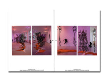 Load image into Gallery viewer, [FORTHCOMING] Monia Ben Hamouda: Path of Totality