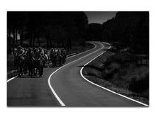 Load image into Gallery viewer, [FORTHCOMING] Manuel Naranjo Martell – SACA 1504