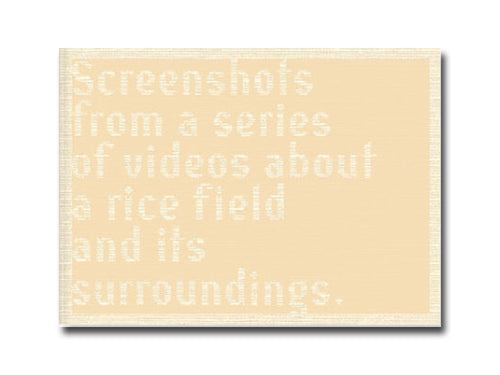 Cintia Tortosa Santisteban – Screenshots from a series of videos about a rice field and its surroundings