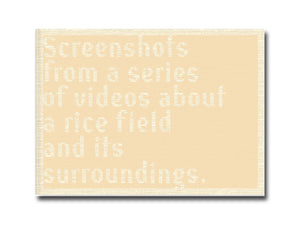 Cintia Tortosa Santisteban – Screenshots from a series of videos about a rice field and its surroundings