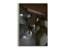 Load image into Gallery viewer, Steffen Kunkel: Search for the Indefinite
