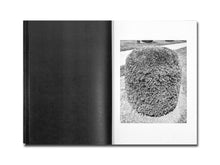 Load image into Gallery viewer, Mike Slack – Shrubs of Death