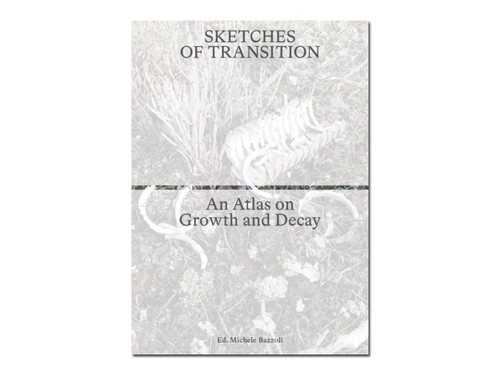 Sketches of Transition: An Atlas on Growth and Decay