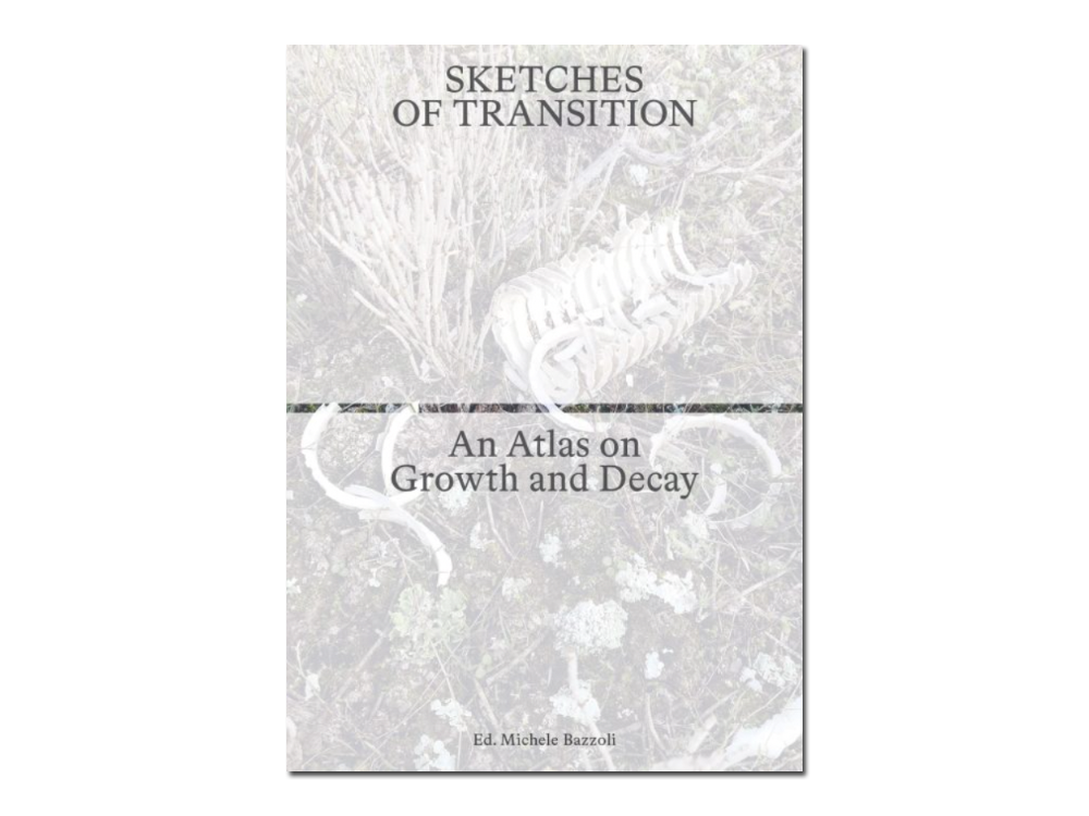 Sketches of Transition: An Atlas on Growth and Decay