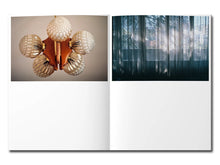 Load image into Gallery viewer, [FORTHCOMING] Anna Tsitsishvili – Tbilisi Interiors