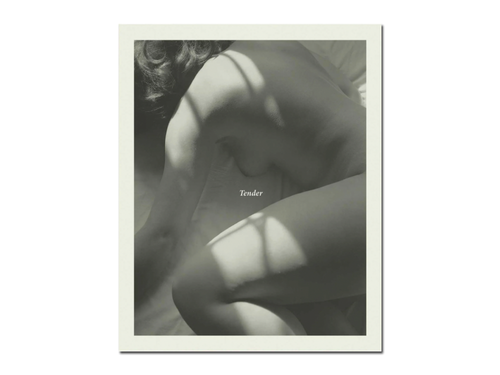 Carla Williams – Tender