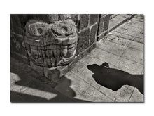 Load image into Gallery viewer, [FORTHCOMING] Pablo Ortiz Monasterio – Tenochtitlan