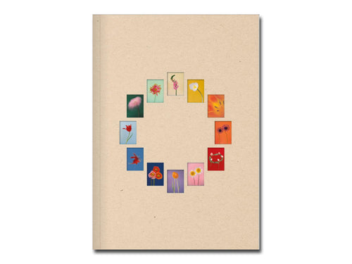[FORTHCOMING] Paula Codoner – The Chromatics of Flowers
