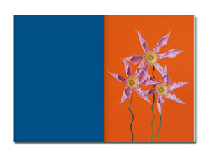 [FORTHCOMING] Paula Codoner – The Chromatics of Flowers