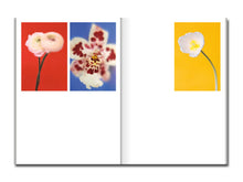 Load image into Gallery viewer, [FORTHCOMING] Paula Codoner – The Chromatics of Flowers