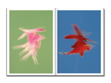 Load image into Gallery viewer, [FORTHCOMING] Paula Codoner – The Chromatics of Flowers