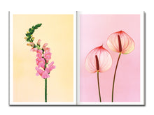 Load image into Gallery viewer, [FORTHCOMING] Paula Codoner – The Chromatics of Flowers