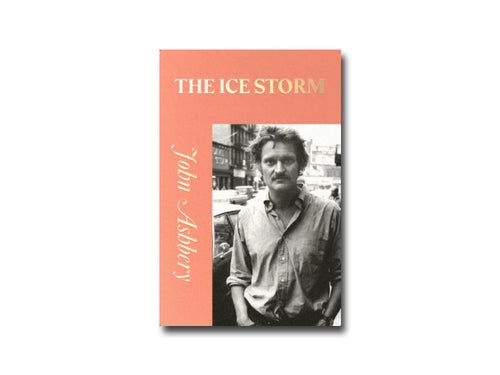 John Ashbery – The Ice Storm