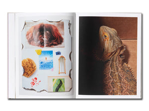 [FORTHCOMING] David Brandon Geeting – The Marble