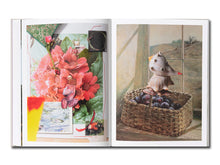 Load image into Gallery viewer, [FORTHCOMING] David Brandon Geeting – The Marble