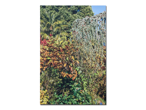 Nicolas Faure – The Order of Things