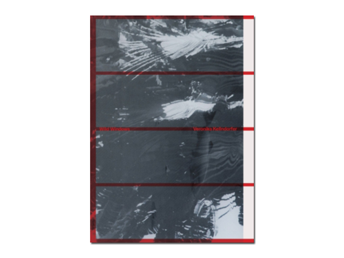 Veronika Kellndorfer – Wild Windows