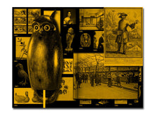 Load image into Gallery viewer, [FORTHCOMING] With a Bird, A Reader on Avian Kinship