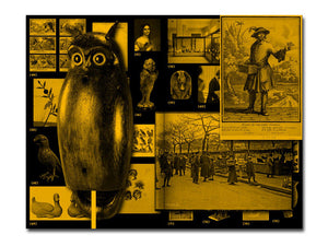 [FORTHCOMING] With a Bird, A Reader on Avian Kinship
